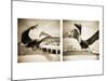 Pelicans St Petersburg, 1-Theo Westenberger-Mounted Photographic Print