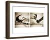 Pelicans St Petersburg, 1-Theo Westenberger-Framed Photographic Print