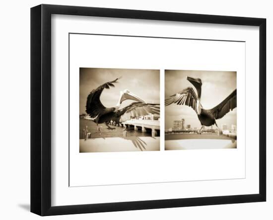 Pelicans St Petersburg, 1-Theo Westenberger-Framed Photographic Print