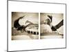 Pelicans St Petersburg, 1-Theo Westenberger-Mounted Photographic Print