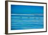 Pelicans, Whale Watching, Magdalena Bay, Mexico, North America-Laura Grier-Framed Photographic Print