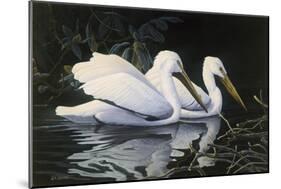 Pelicans-Michael Budden-Mounted Giclee Print