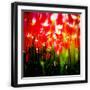 Black Frame