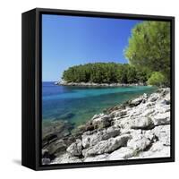 Peljesac Peninsula Near Dubrovnik, Croatia-John Miller-Framed Stretched Canvas