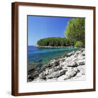 Peljesac Peninsula Near Dubrovnik, Croatia-John Miller-Framed Photographic Print