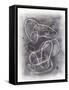 Pell Mell I-Vanna Lam-Framed Stretched Canvas