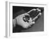 Pellets of Natural Uranium Oxide Fuel For Electricity-Fritz Goro-Framed Photographic Print