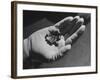 Pellets of Natural Uranium Oxide Fuel For Electricity-Fritz Goro-Framed Photographic Print