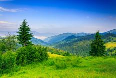 Two Green Pine Tree on Meadow in the Mountains Early Morning-pellinni-Photographic Print