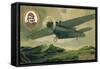 Pelterie Monoplane-null-Framed Stretched Canvas