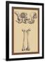 Pelvic Bones-Andreas Vesalius-Framed Art Print