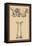 Pelvic Bones-Andreas Vesalius-Framed Stretched Canvas