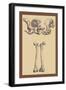 Pelvic Bones-Andreas Vesalius-Framed Art Print