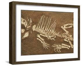 Pelycosaur fossil found in Texas-Kevin Schafer-Framed Premium Photographic Print