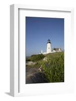 Pemaquid Light and Wild Morning-Glory and Vetch, Pemaquid Point Peninsula-Lynn M^ Stone-Framed Photographic Print