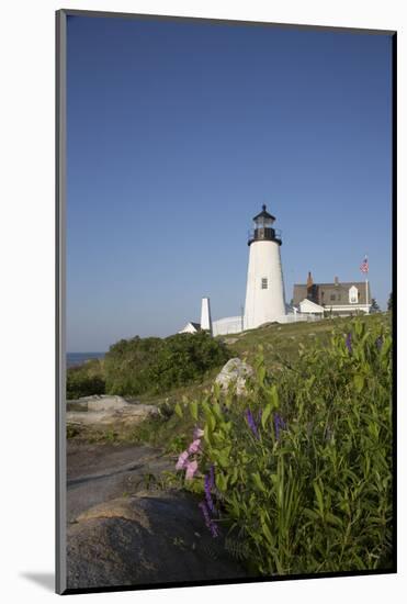 Pemaquid Light and Wild Morning-Glory and Vetch, Pemaquid Point Peninsula-Lynn M^ Stone-Mounted Photographic Print