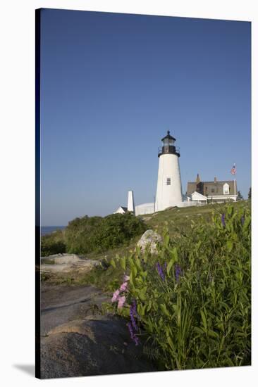 Pemaquid Light and Wild Morning-Glory and Vetch, Pemaquid Point Peninsula-Lynn M^ Stone-Stretched Canvas