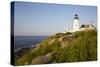 Pemaquid Light and Wild Roses, Pemaquid Point Peninsula, Near New Harbor, Maine, USA-Lynn M^ Stone-Stretched Canvas