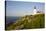 Pemaquid Light and Wild Roses, Pemaquid Point Peninsula, Near New Harbor, Maine, USA-Lynn M^ Stone-Stretched Canvas