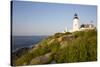 Pemaquid Light and Wild Roses, Pemaquid Point Peninsula, Near New Harbor, Maine, USA-Lynn M^ Stone-Stretched Canvas