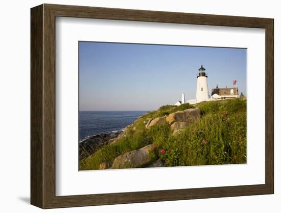 Pemaquid Light and Wild Roses, Pemaquid Point Peninsula, Near New Harbor, Maine, USA-Lynn M^ Stone-Framed Photographic Print