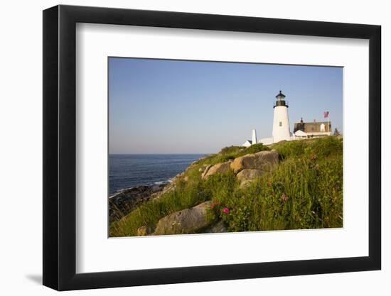 Pemaquid Light and Wild Roses, Pemaquid Point Peninsula, Near New Harbor, Maine, USA-Lynn M^ Stone-Framed Photographic Print