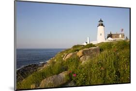 Pemaquid Light and Wild Roses, Pemaquid Point Peninsula, Near New Harbor, Maine, USA-Lynn M^ Stone-Mounted Photographic Print