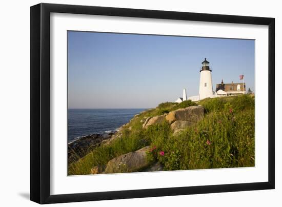 Pemaquid Light and Wild Roses, Pemaquid Point Peninsula, Near New Harbor, Maine, USA-Lynn M^ Stone-Framed Photographic Print