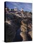 Pemaquid Lighthouse Above Rocky Coastline-James Randklev-Stretched Canvas