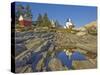 Pemaquid Lightouse and Fishermans Museum, Pemaquid Point, Maine, USA-Neale Clarke-Stretched Canvas