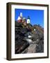 Pemaquid Point I-Jason Veilleux-Framed Photographic Print