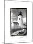 Pemaquid Point Light, Maine I-Laura Denardo-Mounted Art Print