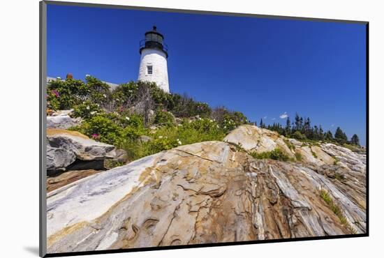 Pemaquid Point Lighthouse near Bristol, Maine, USA-Chuck Haney-Mounted Photographic Print