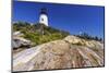 Pemaquid Point Lighthouse near Bristol, Maine, USA-Chuck Haney-Mounted Photographic Print