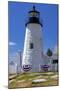 Pemaquid Point Lighthouse near Bristol, Maine, USA-Chuck Haney-Mounted Photographic Print