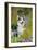 Pembroke Welsh Corgi Sitting Between Tree Trunks-null-Framed Photographic Print