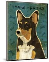 Pembroke Welsh Corgi (Tri-Color)-John W^ Golden-Mounted Art Print