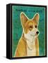 Pembroke Welsh Corgi-John W Golden-Framed Stretched Canvas