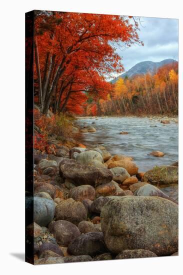 Pemigewasset Riverside in Autumn-Vincent James-Stretched Canvas