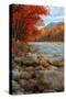 Pemigewasset Riverside in Autumn-Vincent James-Stretched Canvas