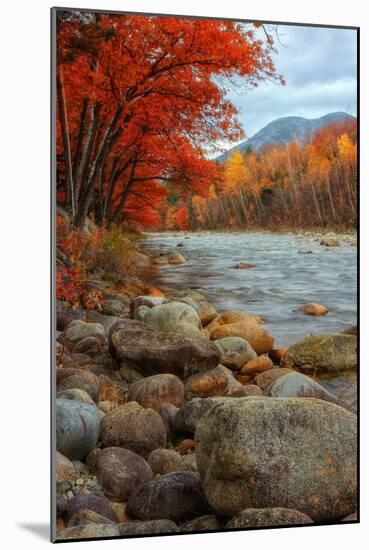 Pemigewasset Riverside in Autumn-Vincent James-Mounted Photographic Print