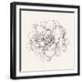 Pen and Ink Florals IV-Danhui Nai-Framed Art Print