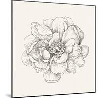 Pen and Ink Florals IV-Danhui Nai-Mounted Art Print