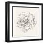 Pen and Ink Florals IV-Danhui Nai-Framed Art Print