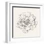 Pen and Ink Florals IV-Danhui Nai-Framed Art Print