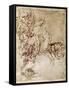 Pen and Ink Sketches, 1913-Leonardo da Vinci-Framed Stretched Canvas