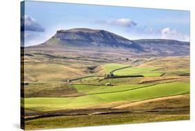 Pen Y Ghent from Above Langcliffe Near Settle, Yorkshire, England, United Kingdom, Europe-Mark Sunderland-Stretched Canvas