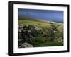 Pen-Y-Ghent, Hesleden Beck, Pennines, Yorkshire, England, United Kingdom-Adam Woolfitt-Framed Photographic Print