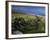 Pen-Y-Ghent, Hesleden Beck, Pennines, Yorkshire, England, United Kingdom-Adam Woolfitt-Framed Photographic Print