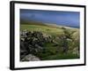 Pen-Y-Ghent, Hesleden Beck, Pennines, Yorkshire, England, United Kingdom-Adam Woolfitt-Framed Photographic Print